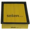 Purflux Filtro Opel Vectra B 2 Volumi /Coda Spiovente (38 A341