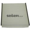 Purflux Filtro Citroen Xsara Picasso (N68) Ah166