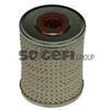 Purflux Filtro Mitsubishi Carisma (Da_) Carisma Tre Volum C494E