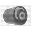Sasic Silentblock Assale Ant Audi A 4 ->2001 9001540