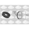 Sasic Puleggia A/Mot Ci C3 1,4 Benz 2150001