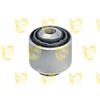 Unigom Parap.Amm.Ant. Bmw Serie 3/5 391348