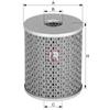 Sofima Filtro Carburante S6010N