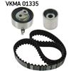Skf Audi Q7 (4L) 3.0 Tdi Belt For Injection Pump, Numb Vkma01335
