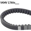 Skf Cinghie Trapezoidali Vkmv17Avx1085
