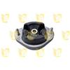 Unigom Supp.Nudo Cambio Audi A4 2000> 396883