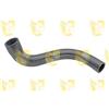 Unigom Agg.Man.Coll.Pompa-Term.Opel Agila A 1.0/1.2Cc O4146
