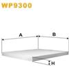 WIX FILTERS Wix Fc.Kia Carnival Iii/Sedona Iii Wp9300