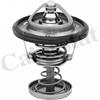 CALORSTAT by Vernet Vernet Termostato Ci C1- Pe 107 - Toyota Yaris Th6950.82J
