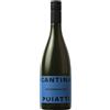 Puiatti Sauvignon Friuli DOC 2025 - Puiatti - 0.75L