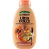 L'OREAL ITALIA SpA DIV. CPD GARNIER UD SH VAN PAP 250ML