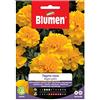 Blumen SEMI TAGETE NANO DOPPIO GIALLO BLUMEN