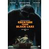 Synapse Films Creature From Black Lake (DVD) Jack Elam Dub Taylor Dennis Fimple Jr. Joy Houck