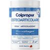 PROTEIN S.A. Colpropur Osteoarticolare Gusto Fragola 340 G Salute Delle Articolazioni