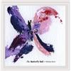 Timo Rautiainen Butterfly Ball (CD)