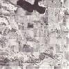 Women Rarities 2007-2010 (Vinyl LP)