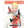 Naruto Illustration Collection UZUMAKI NARUTO - Japanese Artbook - New