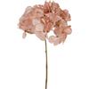 ARPIMEX Pick Ortensia di Natale H 32 Cm Rosa