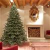 EDG Enzo De Gasperi Albero di Natale Pino Spark H 270 Cm D 198 Cm 8.400 Led Verde