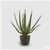 EDG Enzo De Gasperi Aloe Chic Succ. con Vaso Artificiale H 45 Cm Green