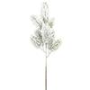 ARPIMEX Pick Natale Pino Nordmann 39 Cm Innevato