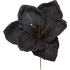 ARPIMEX Pick Amarillys D 16 Cm H 18 Cm Nero