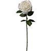 Conti Ramo Rosa Singola H 65 Cm White