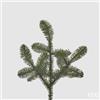 EDG Enzo De Gasperi Albero di Natale Pino Nobilis West Ramo H 52 Cm Green 1 Pz