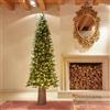 EDG Enzo De Gasperi Albero di Natale Pino SLIM H 240 C /610 MINILED D 85