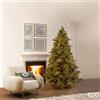 EDG Enzo De Gasperi Albero di Natale Pino Argentato 4.000 Led H 210 Cm D 149 Cm Ip 44
