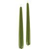 Cereria Di Giorgio Candele Coniche Ø 2,2 cm H. 25 cm (10 pz) - Verde Muschio