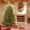 EDG Enzo De Gasperi Albero di Natale Pino Luxury H 240 Cm D 152 Cm con 5.000 Led Verde