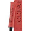 Schwarzkopf Professional Schwarzkopf - Igora - Royal - 8-65 Biondo chiaro Chocolade Goud - 60 ml