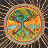 Baba Zula XXX (CD)