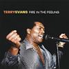Terry Evans Fire in the Feeling (CD)