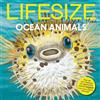 Sophy Henn Sophy Henn Lifesize Ocean Animals (Tascabile)