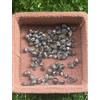 Sparkling Fancy Diamonds Diamante Naturale Sciolto Colore Nero Diamante Grezzo Lotto 2+TCW Scoop