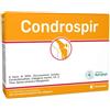 ANVEST HEALTH SPA SOC. BENEFIT CONDROSPIR benessere muscolo scheletrico 14 Bustine