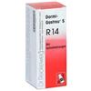 DR.RECKEWEG & CO. GmbH Reckeweg R14 Gocce 50ml