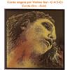 Pirastro Corda per violino 4/4 Sol - G Pirastro Evah Pirazzi 415421