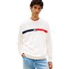 Tommy Jeans Tjm Reg Sign Stripe Cnck Ext Dm0dm23019 Felpa Pullover Uomo (Pacco da 1)