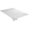 Irisette Piumino Nora in Piuma, Piumino estivo leggero, 100% cotone, 100% piumino Classe I, 135 x 200 cm, Oeko-Tex, Qualità tedesca
