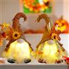 BORDEAG Gnomi Autunnali Decorazioni Autunnali Casa: 2 Pezzi Decorazione per L'autunno Nani con Luci, Autunno Decorazioni di Peluche GNOME del Ringraziamento Decorazione Domestica di Festa di Natale