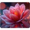 ELLENNE Tappetino Mousepad 240x200mm | Loto Scintillante | C75 | Tappetino per Mouse 240x200mm | Superficie in Lycra Ultra-Liscia | Antiscivolo, Lavabile per Casa Ufficio Laptop PC Gaming