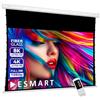 ESMART Professional TATENSO schermo tensionato L totale 258 cm, telo grigio | Area di proiezione 221 × 125 cm, formato 16:9, telo grigio ad alto contrasto per luce ambientale, telecomando incluso