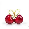 ELLENNE Tappetino Mousepad 240x200mm | Ciliegie Innamorate | C94 | Tappetino per Mouse 240x200mm | Superficie in Lycra Ultra-Liscia | Antiscivolo, Lavabile per Casa Ufficio Laptop PC Gaming