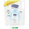 Beni Culinari Mantovani Sapone Liquido Gardenia Sapone Liquido Gardenia - Sapone liquido con gardenia - Ideale per mani e viso Eco-ricarica Busta 750 ml + Portachiavi Beni Culinari