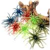 EcoGleam 4pc Floating Starfish Sea Urchin Soft Lure - Realistic TPR North | EcoGleam 4pc Floating Sea Urchin Soft Bait Realistic Anti-Strike TPR Spin Up Pise With Sharp Ball 6 cm
