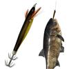 Generico Esca Artificiale per Calamari Esche Artificiali Realistiche Luminose | Jig da Pesca per Calamari Pesca in Barca e Cattura di Pesci di Fondo, Polpi e Seppie nella Zona Costiera
