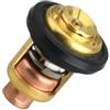 AYZLGAA for M-a-l-l-o-r-y Marine Evinrude Johnson 5005440 777260 Termostato